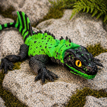 Рухома іграшка Sailfin Dragon 3D друк 0068 фото