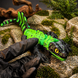 Рухома іграшка Sailfin Dragon 3D друк 0068 фото 3