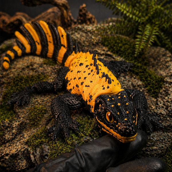 Рухома іграшка Sailfin Dragon 3D друк 0068 фото