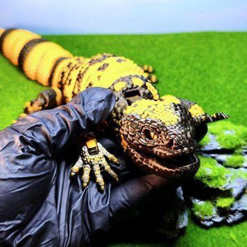 Рухома іграшка Gila Dragon 3D друк 0218 фото